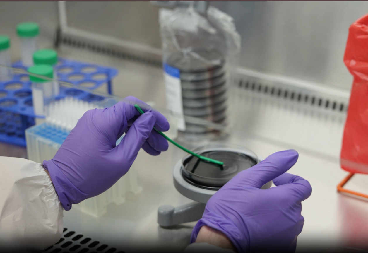 Dental & Clinical Water Testing